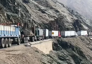CAMIONEROS REPORTAN MÁS PÉRDIDAS EN GANADO POR BLOQUE DE CARRETERAS: