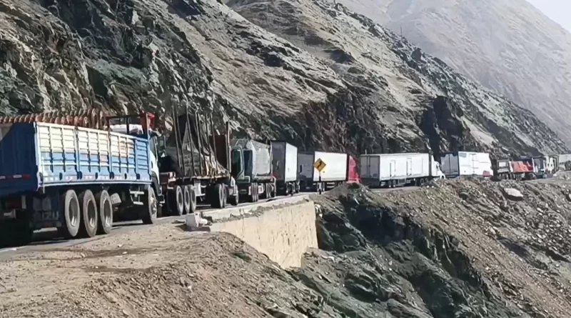 CAMIONEROS REPORTAN MÁS PÉRDIDAS EN GANADO POR BLOQUE DE CARRETERAS:
