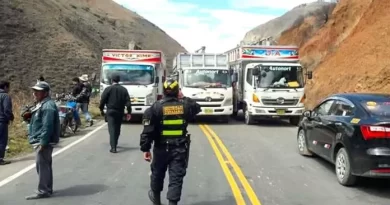 CHOFER DE TRAILER MUERE Y ES LA PRIMERA VÍCTIMA DEL PARO DE MINEROS INFORMALES:
