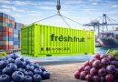 PRODUCTOS DEL PERÚ SE SIGUEN CONSOLIDANDO EN MERCADOS INTERNACIONALES: