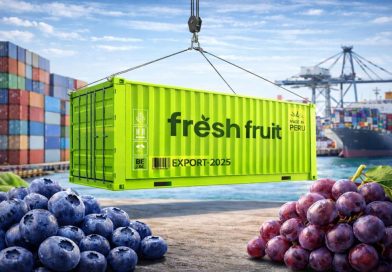PRODUCTOS DEL PERÚ SE SIGUEN CONSOLIDANDO EN MERCADOS INTERNACIONALES: